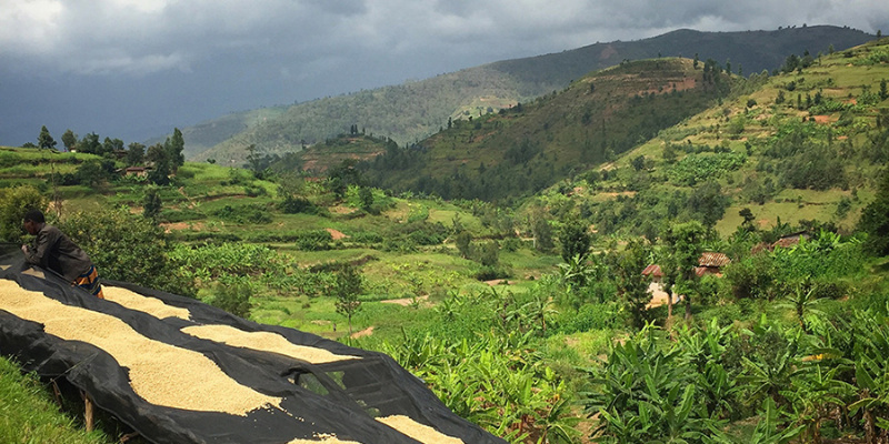 origin: rwanda
