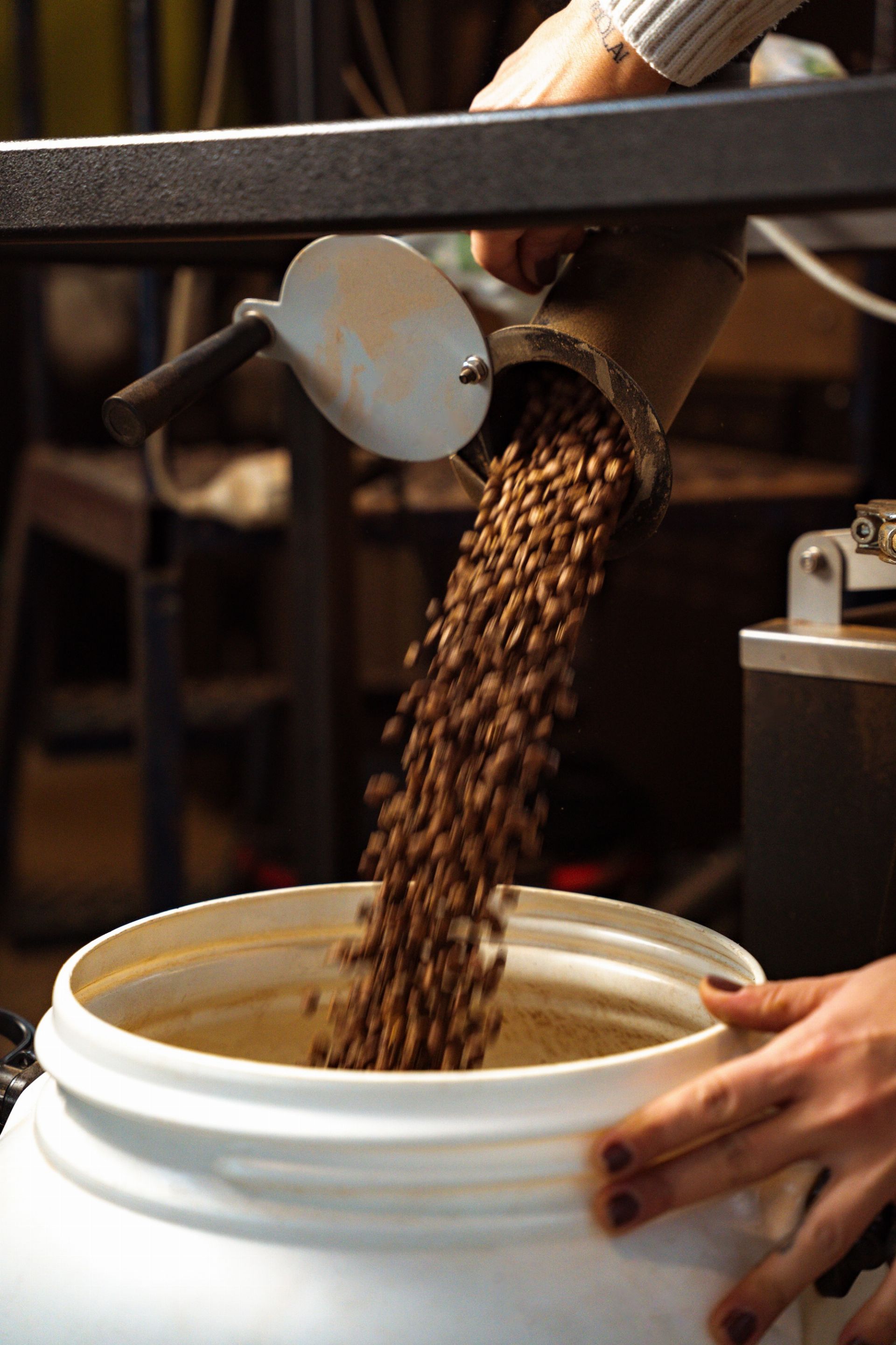 White Label Coffee, photo 6